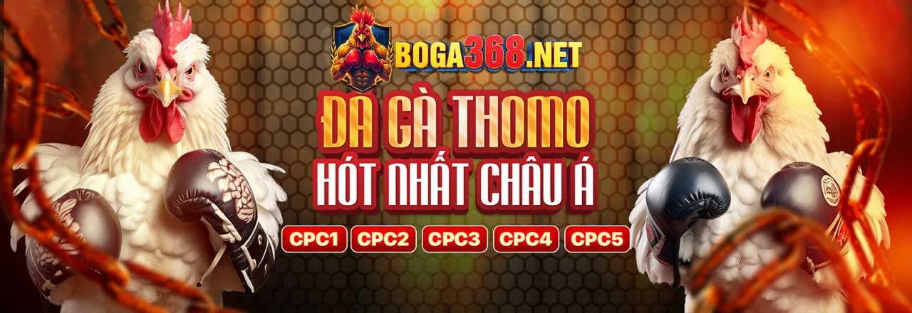 Tải ứng dụng đá gà ở thomo 2026 để cá cược trực tuyến và xem đá gà trực tiếp