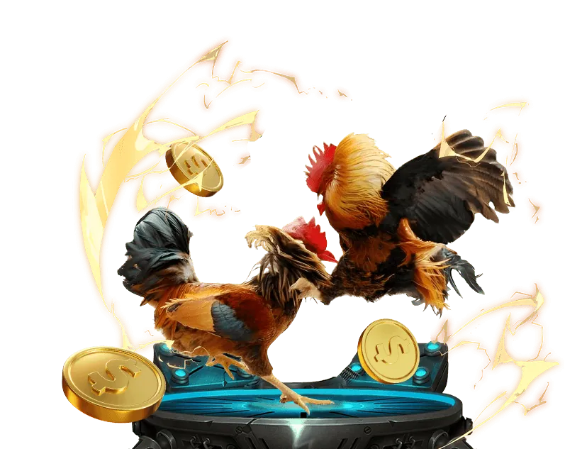 Chương trình hoàn trả đá gà Thomo